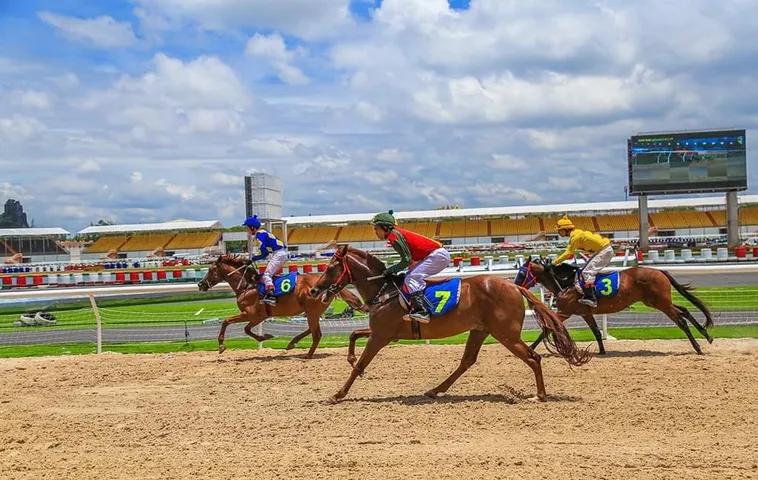 Giải Mã Kèo Cá Cược Đua Ngựa Jun88 Và Chiến Thuật Thắng Lớn