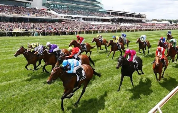 Giải Mã Kèo Cá Cược Đua Ngựa Jun88 Và Chiến Thuật Thắng Lớn